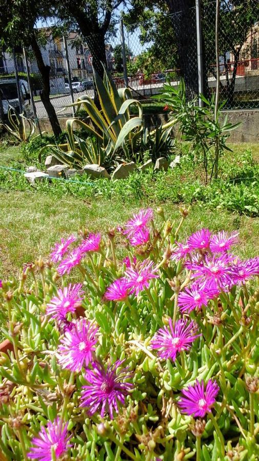Happy Days B&B Giove Exterior foto