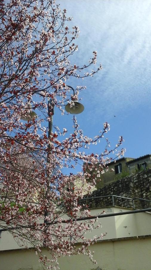 Happy Days B&B Giove Exterior foto