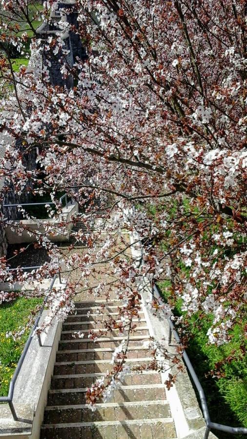 Happy Days B&B Giove Exterior foto
