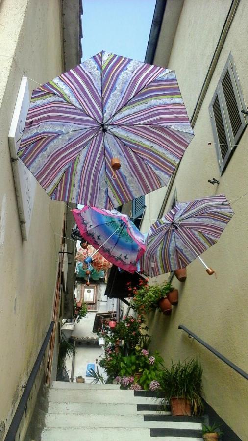 Happy Days B&B Giove Exterior foto