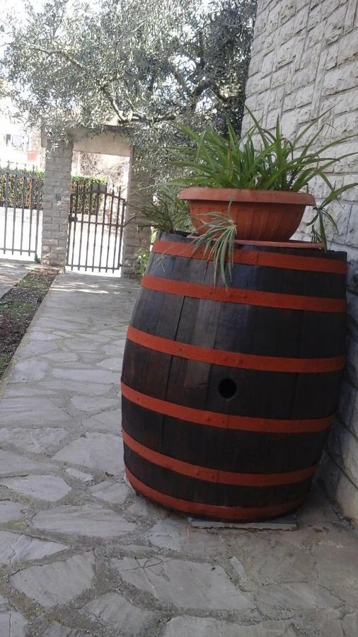 Happy Days B&B Giove Exterior foto