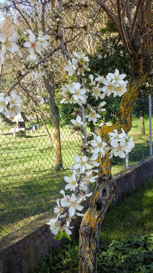 Happy Days B&B Giove Exterior foto